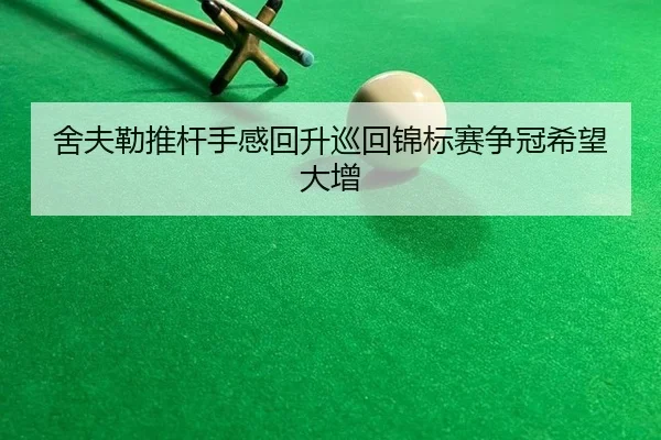 she-fu-lei-tui-gan-shou-gan-hui-sheng-xun-hui-jin-biao-sai-zheng-guan-xi-wang-da-zeng-2-583.jpg